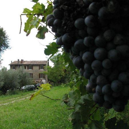 I Vigneti Bed & Breakfast Salionze Exterior foto