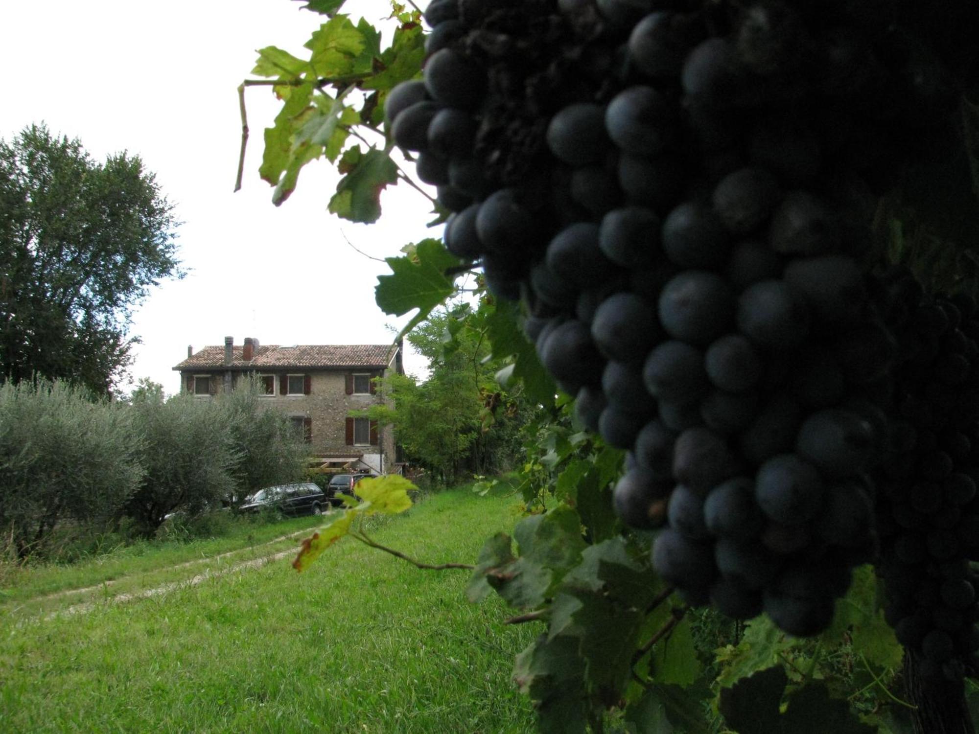 I Vigneti Bed & Breakfast Salionze Exterior foto
